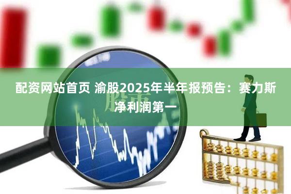 配资网站首页 渝股2025年半年报预告：赛力斯净利润第一
